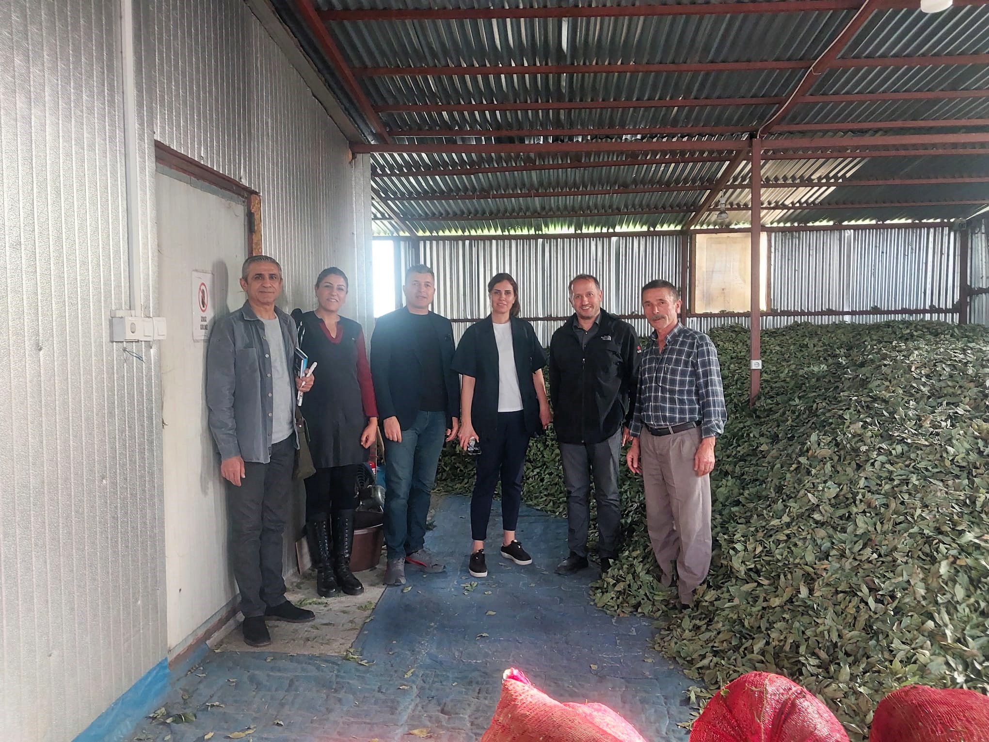 Güneydoğu Anadolu Projesi Bölge Kalkınma İdaresi Başkanlığı Uzmanları 19 Mayıs İlçesinde Kooperatifçilik Teknik Eğitim Programı Kapsamında Ziyaretlerde Bulundu