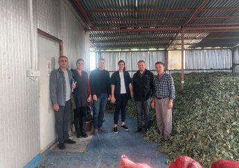 Güneydoğu Anadolu Projesi Bölge Kalkınma İdaresi Başkanlığı Uzmanları 19 Mayıs İlçesinde Kooperatifçilik Teknik Eğitim Programı Kapsamında Ziyaretlerde Bulundu